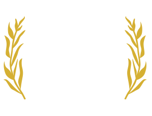  24th Beverly Hills International Film Festival